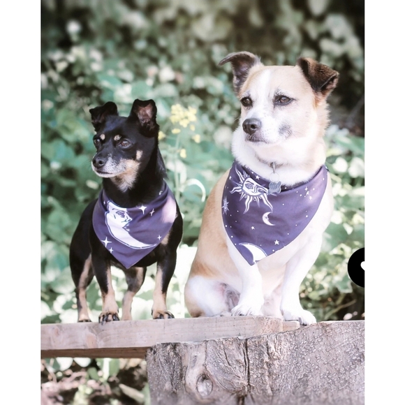 Rogue + Wolf Reversible Pet Bandana – Celestial Sun Moon Stars Print Black - Picture 1 of 14